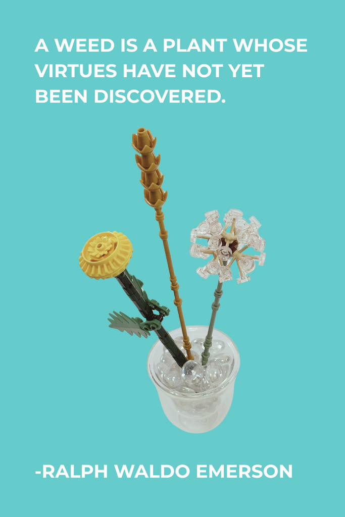 LEGO Field Flowers. Set 30701.